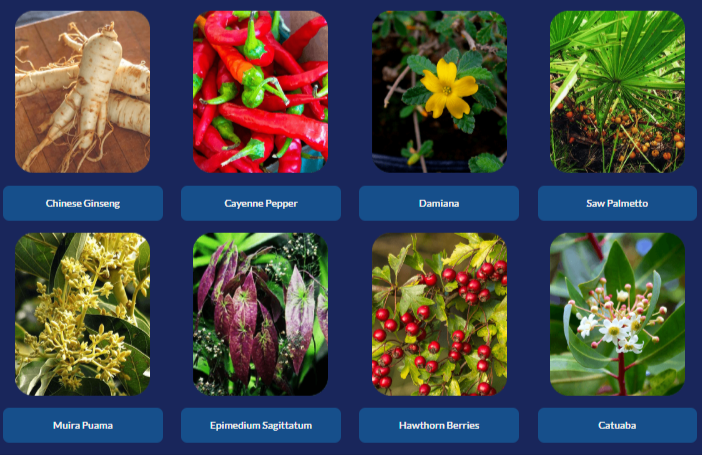 ProtoFlow Ingredinets